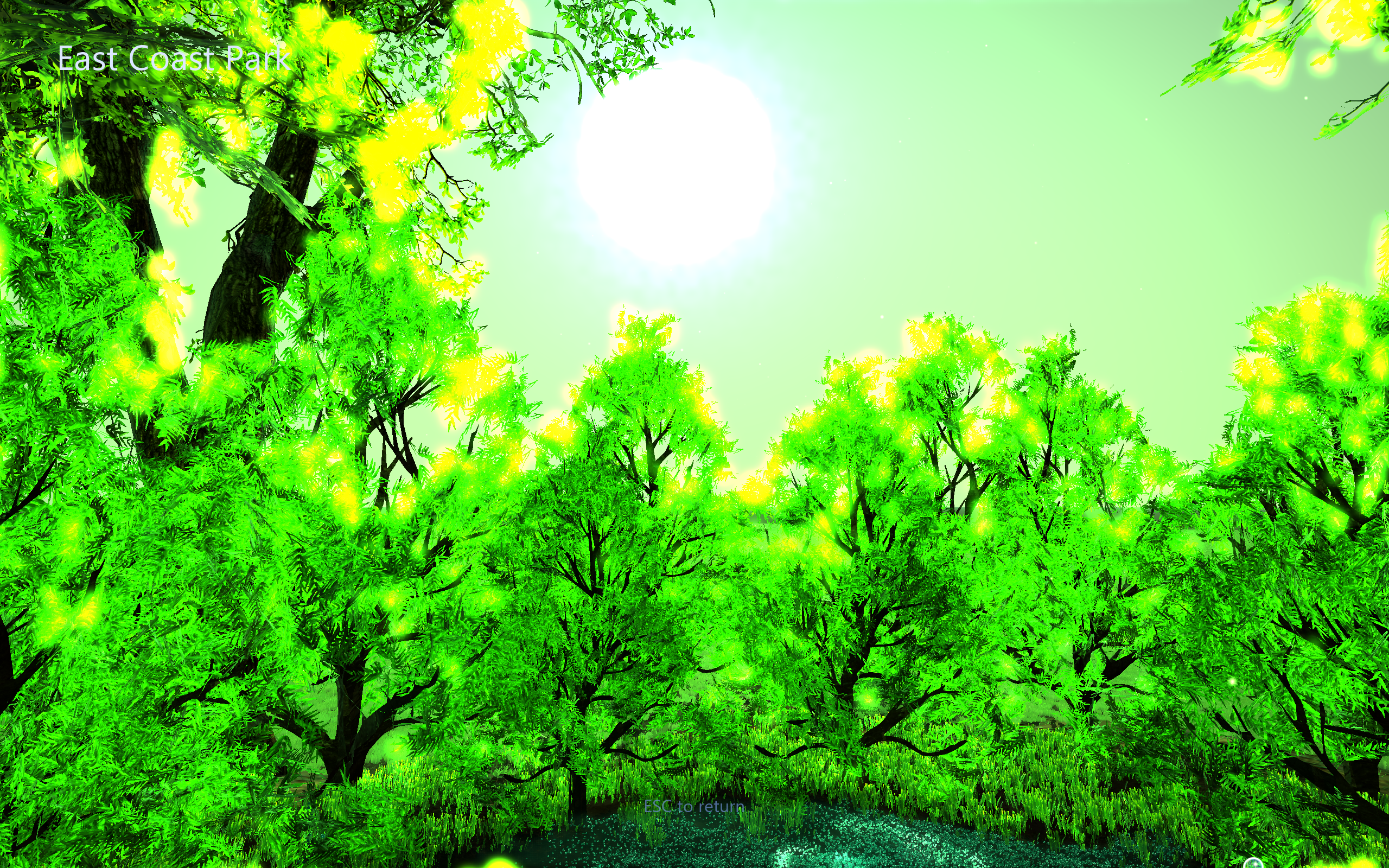 The Mystical Green Sun high above the ECP canopy